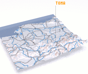 3d view of Toma