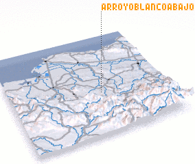 3d view of Arroyo Blanco Abajo