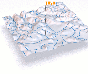 3d view of Tuyo