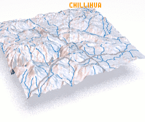 3d view of Chillihua