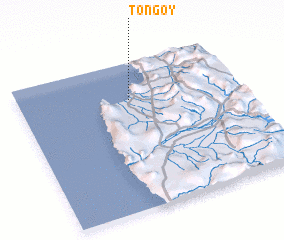 3d view of Tongoy