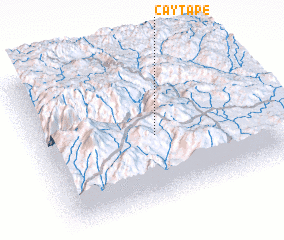 3d view of Caytape