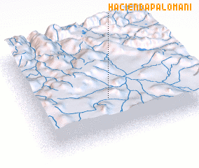 3d view of Hacienda Palomani