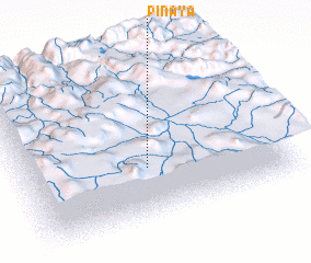 3d view of Pinaya