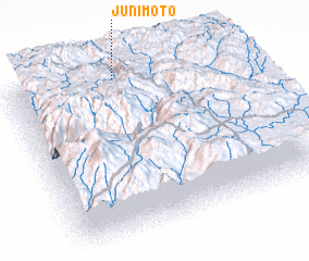 3d view of Junimoto