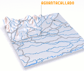 3d view of Aguanta Callado