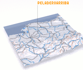 3d view of Peladero Arriba