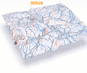 3d view of Munja