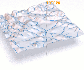 3d view of Totora