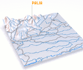 3d view of Palia