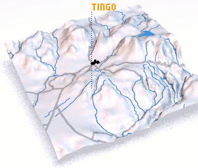 3d view of Tingo