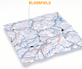 3d view of Bloomfield