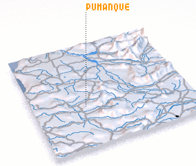 3d view of Pumanque