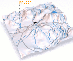 3d view of Palcca