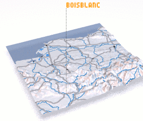 3d view of Bois Blanc