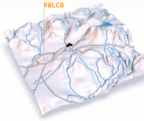 3d view of Palca