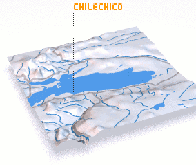 3d view of Chile Chico