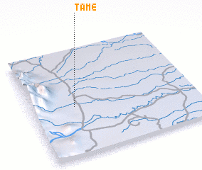 3d view of Tame