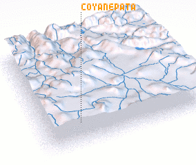 3d view of Coyane Pata