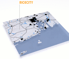 3d view of Rice City
