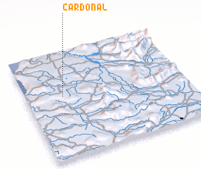 3d view of Cardonal