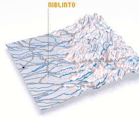 3d view of Niblinto