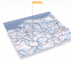 3d view of Miguel