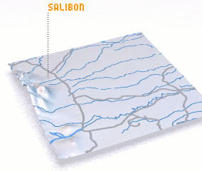 3d view of Salibón