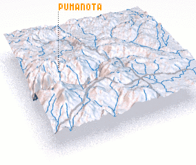 3d view of Pumanota