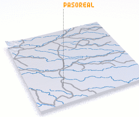 3d view of Paso Real