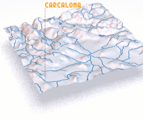 3d view of Carcaloma