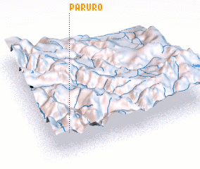 3d view of Paruro