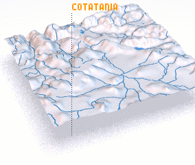 3d view of Cotatania