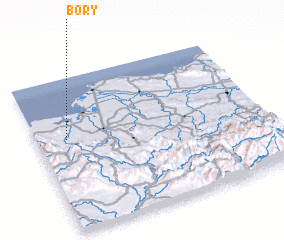 3d view of Bory