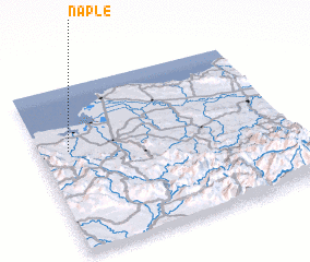 3d view of Naple