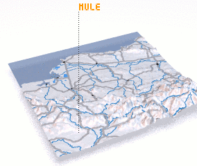 3d view of Mule