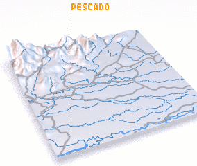 3d view of Pescado