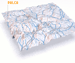 3d view of Palca