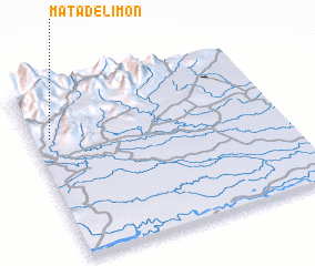 3d view of Mata de Limón