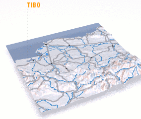 3d view of Tibo