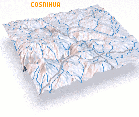 3d view of Cosnihua