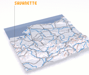 3d view of Savanette