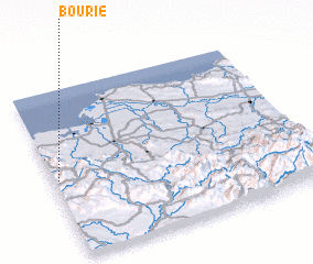 3d view of Bourie