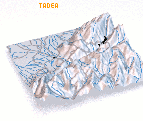 3d view of Tadea