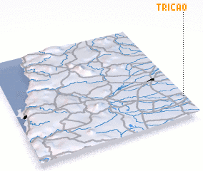3d view of Tricao