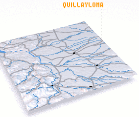 3d view of Quillayloma