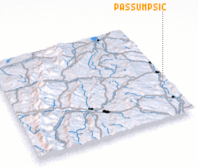 3d view of Passumpsic