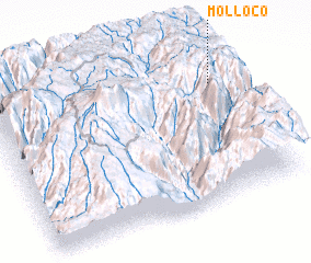 3d view of Molloco