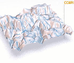 3d view of Ccapi