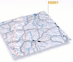 3d view of Perry